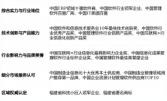 通过发卖–研发-出产-供应链–质量-财政”一体